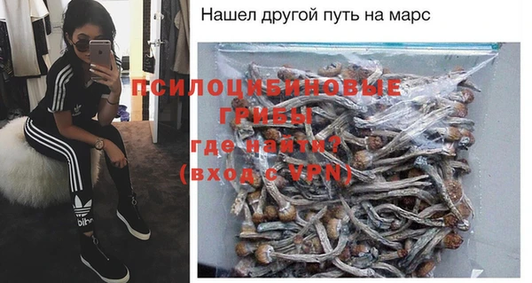 тгк Алзамай